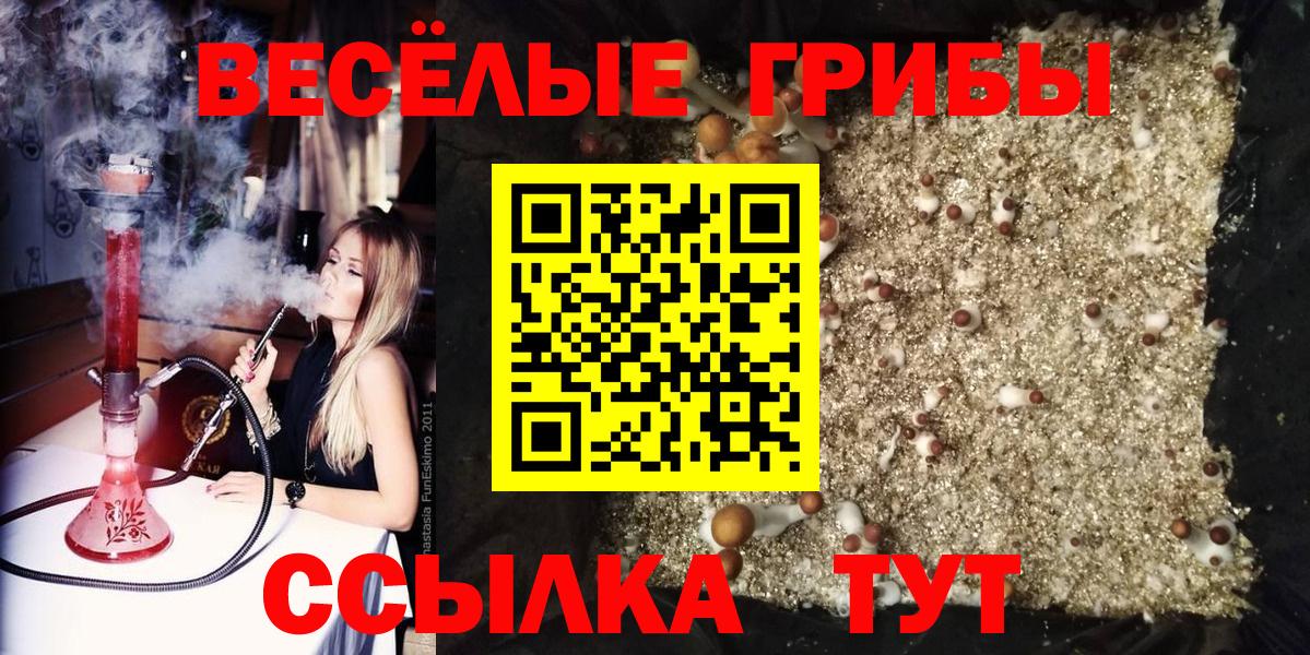 Галлюциногенные грибы прущие грибы  Псилоцибиновые грибы Magic Shrooms  Волжский  Вход с VPN 